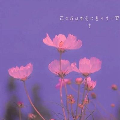 游戏论｜寻找徒然生命之轨迹——追记《心跳回忆》三十周年